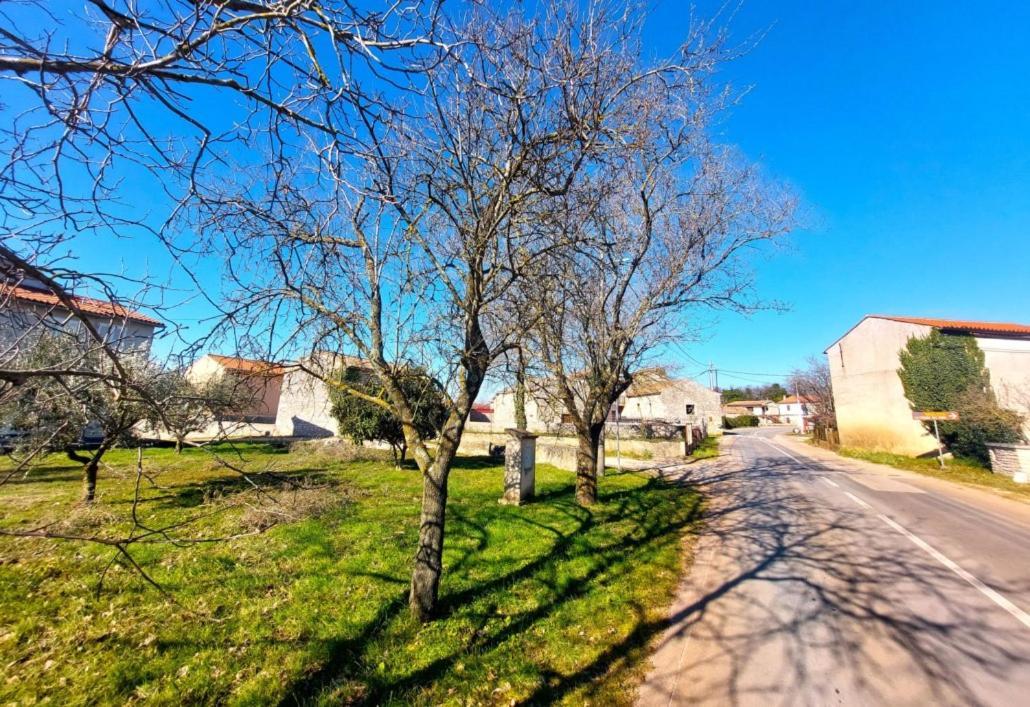 Cozy Apartments And Rooms Pavicini Segotici Exterior photo